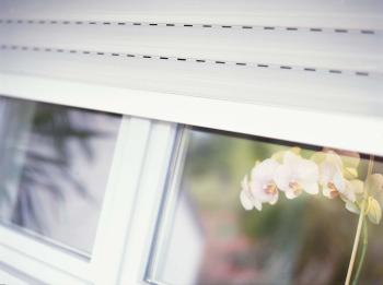 Rollladen mit weißer Orchidee im Fenster